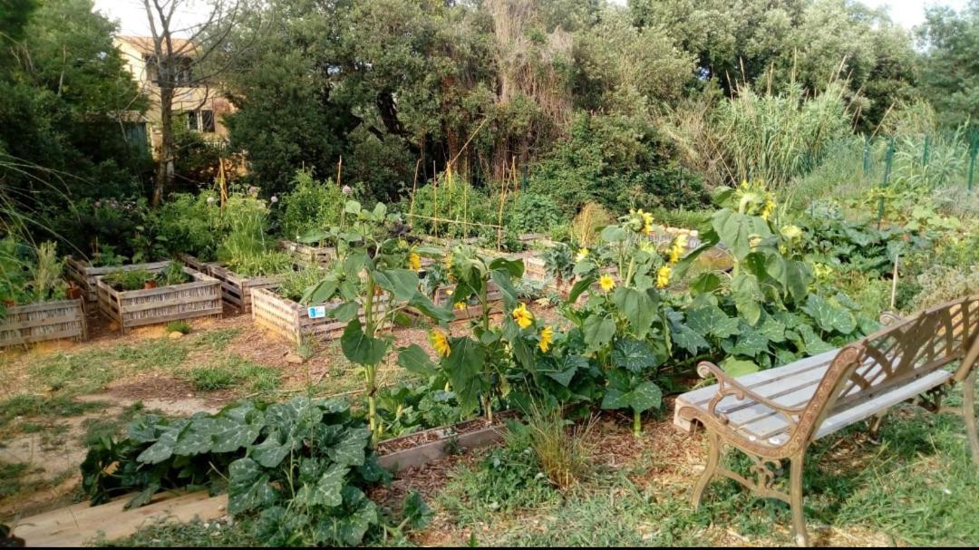 La Bastide Neuve Des Oliviers Acomodação com café da manhã La Londe-les-Maures Exterior foto